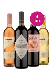 Kit 4 - Quarteto variado por R$100