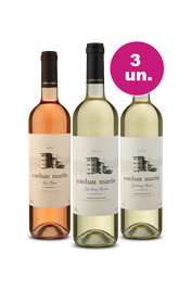 Kit 3 - Esteban Martín por R$99 - Exclusivo