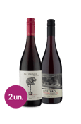 Kit Degustação Pinot Noir (2 garrafas)