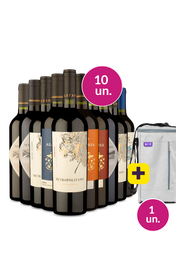 Kit 10 - Vinhos Tintos Mistos + Bolsa p/ 3 garrafas Gr&aacute;tis - Exclusivo We