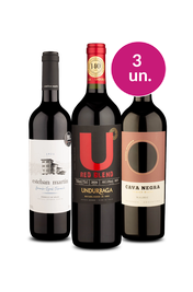 Kit 3 - Tintos por R$ 99 - Exclusivo We