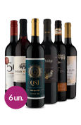 Kit Tintos Passaporte Mundial Wine (6 garrafas)