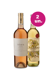 Kit 2 - Italianos Refrescantes e Requintados - Oferta Absurda Black Wine