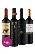 WineHunterBox Reserva Chilenos