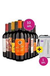 Kit 10 - Tintos Meio Secos + Bolsa p/ 3 garrafas Gr&aacute;tis - Exclusivo We