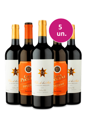Kit 5 - Piccini Toscana Rosso e Clos De Los Siete - Exclusivo We