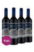 Kit Altos De Condor Tinto, Campeão de Vendas Wine (4 garrafas)