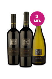 Kit 3 - V9 Degustação - Exclusivo WE