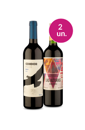 Kit 2 - Chile e Argentina - Oferta Absurda