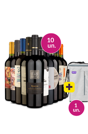 Kit 10 - Tintos Variados + Bolsa p/ 3 garrafas Gr&aacute;tis - Exclusivo We