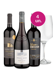 Kit Especial - Presenteando com Ta&ccedil;a de Cristal - Oferta Absurda IZ