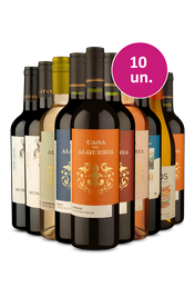 Kit 10 - Vinhos Mistos por 23,90 a garrafa - Exclusivo We