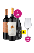 Kit 3 - Tintos Argentinos Premium + Taça Cristal Grátis