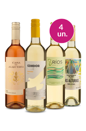 Kit 4 - Refrescantes no Precinho por R$99 - Oferta Absurda