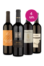 Kit 4 - Tintos Mundiais por R$100 - Oferta Absurda Imposto Zero