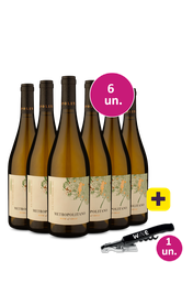 Kit 6 - Metropolitano Chardonnay + Saca Rolha Wine Gr&aacute;tis - Exclusivo We