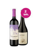 Kit 2 - Tintos Incríveis por R$37,90 por Garrafa