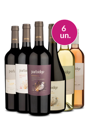 Kit 6 - Degusta&ccedil;&atilde;o Partridge Reserva e Flying