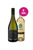 Kit 2 - Casas Del Toqui Barrel Series Chardonnay e Aliwen Reserva Sauvignon Blanc