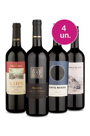 Kit 4 - Tintos Secos - Oferta Absurda