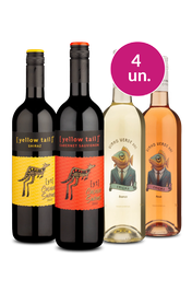 Kit 4 - Degusta&ccedil;&atilde;o Lan&ccedil;amentos Wine 2026