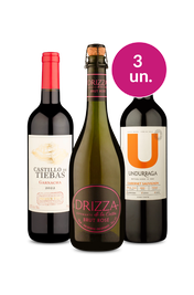 Kit 3 - Destaques do M&ecirc;s por R$99 - Oferta Absurda