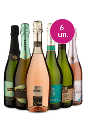 Kit 6 - Degusta&ccedil;&atilde;o de Espumantes - Exclusivo We
