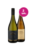 Kit 2 - Encontro de Campeões: Casas Del Toqui Barrel Series Chardonnay e Casa De Vila Verde Vinho Verde