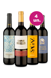 Kit 4 - Oferta Imperdível por R$99 - Spoiler Black Friday