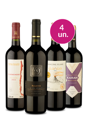 Kit 4 - Destaques do Chile - Oferta Absurda