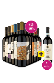 Kit 12 - 12 Tintos Selecionados + 1 Vinho Grátis: 13º é por Nossa Conta - Black Wine
