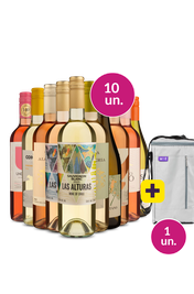 Kit 10 - Refrescantes + Bolsa p/ 3 garrafas Gr&aacute;tis - Exclusivo We