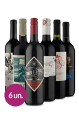 Kit Tintos Frio Bom Wine (6 garrafas)