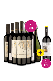 Kit 7 - Destaques + Alfacinha Gr&aacute;tis - Oferta Absurda