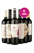 Kit 6 - Tintos Incríveis - Oferta Insana