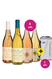 Kit 4 - Brancos e Roses Italianos + Bolsa para 3 garrafas Gr&aacute;tis - Exclusivo We