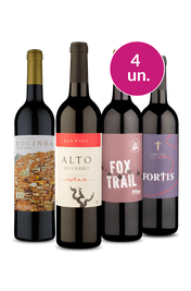 Kit 4 - Portugueses por R$100 - Oferta Absurda Imposto Zero
