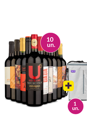 Kit 10 - Tintos Meio Secos + Bolsa p/ 3 garrafas Gr&aacute;tis - Exclusivo We