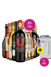 Kit 10 - Para todos os gostos + Bolsa p/ 3 garrafas Gr&aacute;tis - Exclusivo We