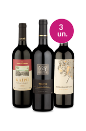 Kit 3 - Trio de Campe&otilde;es