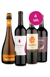 Kit 4 - Sucessos no Precinho - Oferta Absurda