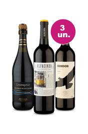 Kit 3 - Grande Oportunidade por R$99