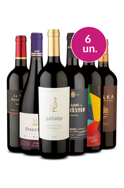 Kit 6 - Vinhos Chiques e no Precinho - Oferta Absurda