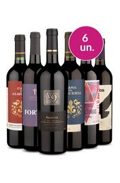 Kit 6 - Tintos Secos no Precinho - Oferta Absurda