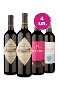 Kit 4 - Tintos por R$99 - Oferta Absurda