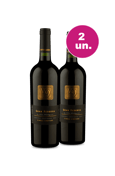 Kit 2 - V9 Gran Reserva - Oferta Flash IZ