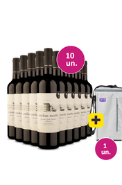 Kit 10 - Esteban Mart&iacute;n D.O. Cari&ntilde;ena Garnacha Tempranillo Syrah Tinto 2024 + Bolsa para 3 garrafas Gr&aacute;tis - Exclusivo We