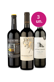 Kit 3 - Tintos Campe&otilde;es - Exclusivo We