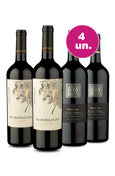 Kit 4 - Encontro de Campeões: Metropolitano Cabernet e Root: 1 Cabernet