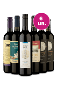 Kit 6 - Tintos da América do Sul por R$199